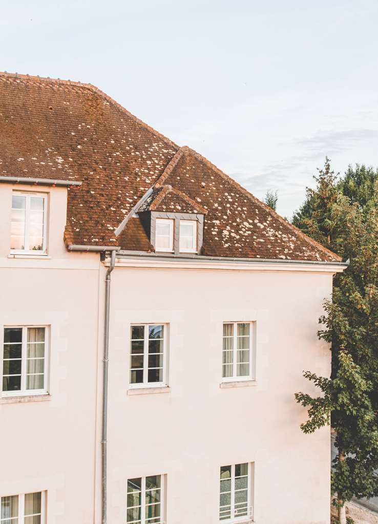 Terres De France - Appart'Hotel La Roche-Posay Exterior foto